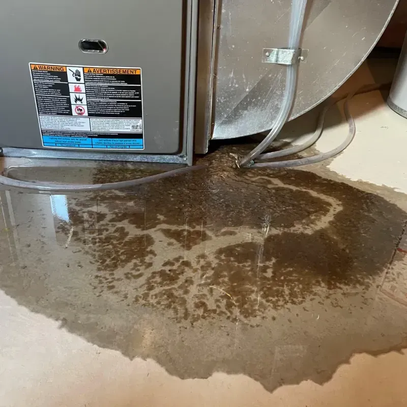 Appliance Leak Cleanup in South Shore, IL